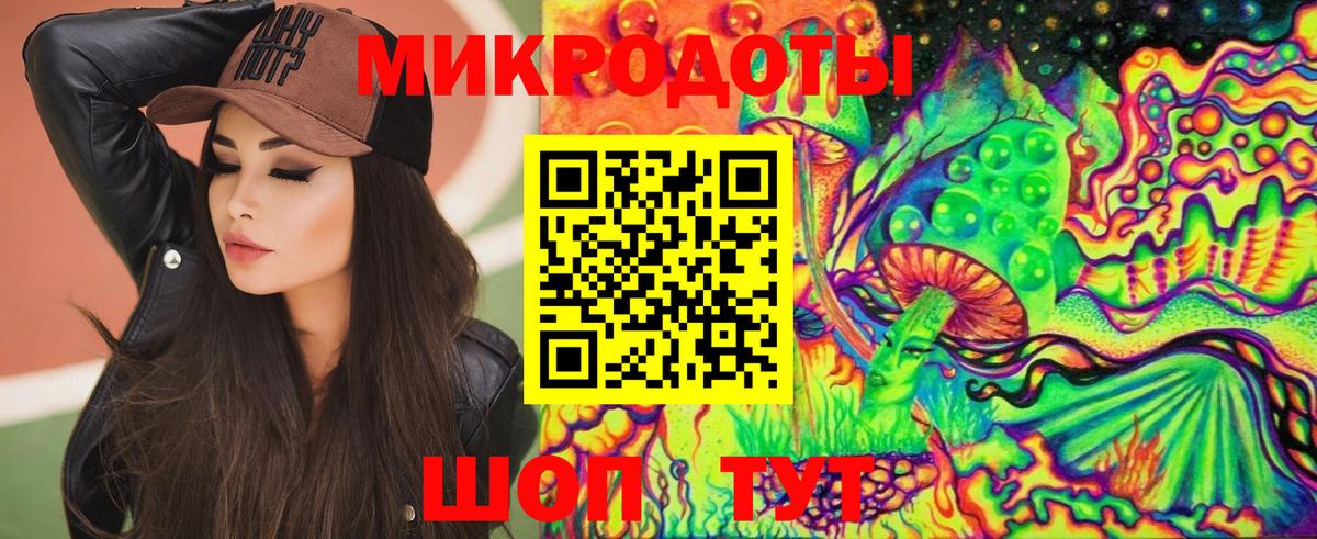 Томск  Псилоцибиновые грибы прущие грибы  Вход с VPN 