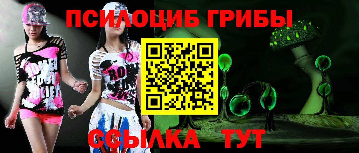 Псилоцибиновые грибы MAGIC MUSHROOMS Томск